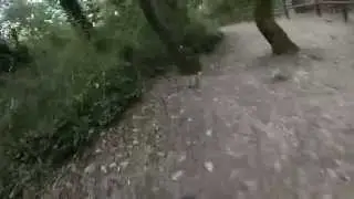 In MTB sul Monte di Scauri