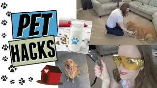 PET HACKS! | HOW TO KEEP YOUR HOUSE CLEAN WITH PETS! | ARE YOU NOSE BLIND?!?