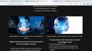 How to Make Money in Virtual Reality Visit Jeffrey's World