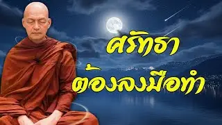 ศรัทธาในพระพุทธเจ้า ไม่ใช่แค่ไหว้…แต่คือการทำตามคำสอนในชีวิตจริง #พุทธวจน