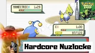 So I tried a Hardcore Nuzlocke of Pokemon Emerald Kaizo...