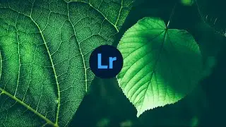 Dark green preset using lightroom mobile #editing #tutorial #lightroom