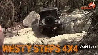 4x4 Westy Steps | 2 x Jeeps & 1 x Landrover | ALLOFFROAD#105