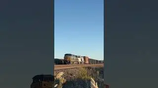 CSX C40-9W 9051 and SD70MAC 4568 lead M364