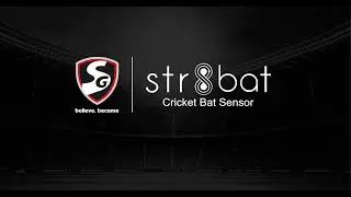 Step-by-Step Guide to Set Up Your SG|str8bat! (English)
