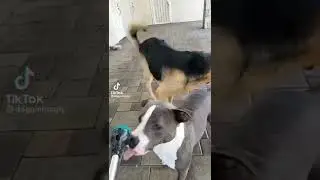 If you can&rsquo;t live without me, why aren&rsquo;t you dead yet?
