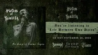 Victim Of Reality - Life Between Two Dates