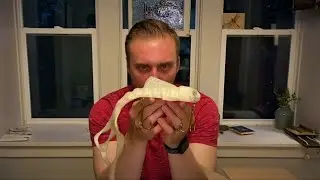 MUSKY MAIL: LURE UNBOXING Baby Beaver, B52, Harvey and Others!!!