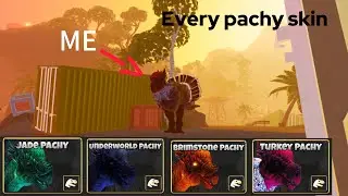 Every pachy skin in primal pursuit showcase | new update 