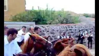 ardia dualchi 08