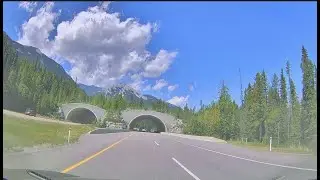 Calgary to Jasper Road Trip - Rocky Mountain Drive