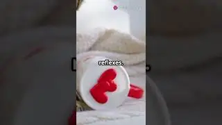 Hilarious Cat Antics, Laugh Out Loud!
