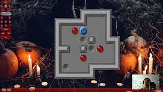 du Peloux #14: Minicosmos 16.