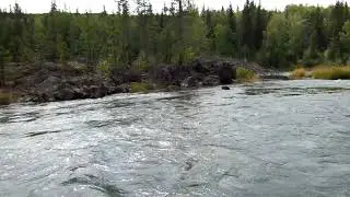 Nechako Kayak 2013