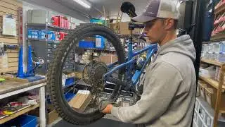 Rex Bike Products