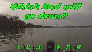 Catfish Takedowns! Which Position Catches the most fish?