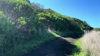 4K Scenery Look, these gorgeous fireworks are hanging all over the branches , George Bass Coastal Wa