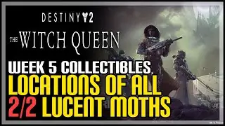 All Week 5 Lucent Moths Destiny 2