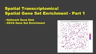 Spatial Transcriptomics - Part 6.1: Spatial Gene Set Enrichment Analysis