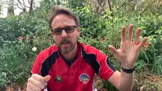 Learning Partnerships eduxplainer vid   SD 480p