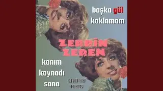 Kanım Kaynadı Sana