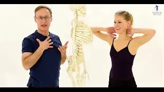 How To Deepen Your Breath By Visualizing The Scalene Muscles