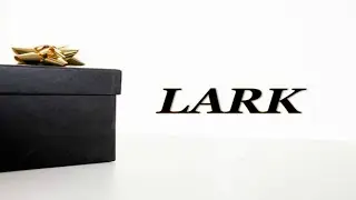 LARK! WHAT DO YOU MEAN?