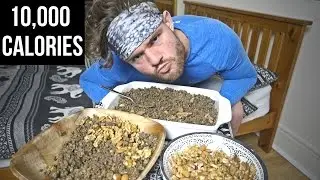 HEALTHY VEGAN 10,000 CALORIE CHALLENGE (1 MEAL!)