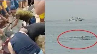 Стойкость русского туриста и его отвага с акулой захватывает дух
