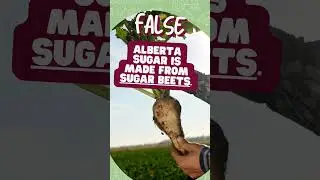 Ag 101: Harvest Part 2