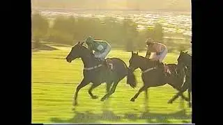 1993 William Hill Handicap Hurdle Inc Replay