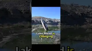 Lake Mead is Changing 😱 #shorts