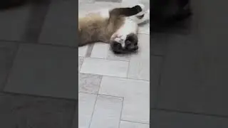 Когда иетересуешься как прошел его день дома, в +30))