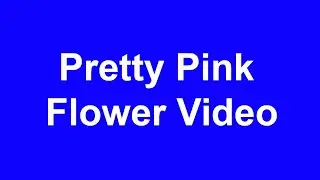 Green Screen Pretty Pink Flowers Video/Free Green Screen Video/Chroma Key Video/RGB Screen