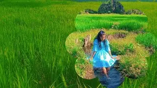 A Beautiful Village in the Middle of the Rice Fields | Sri Lanka 🌾