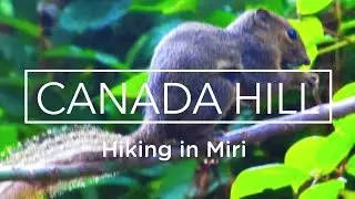 Canada Hill Hiking Route Point 1 to Point 3 with Telemetry Data