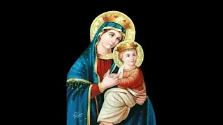 Sunday Early Liturgy  Fr. John Ibrahim - 01/11/2026