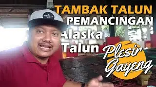 Plesir Gayeng di Tambak Talun, Ada Nila Kelo Mrico!!