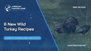 6 New Wild Turkey Recipes | American Hunting Lease Association