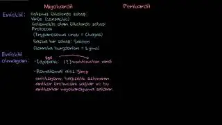 Miyokardit Sebepleri (Fen Bilimleri) (Sağlık ve Tıp)