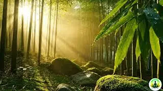 Relaxing Piano Music 🌿 Peaceful forest Sounds  Deep Sleep, Meditation & Healing - 4k