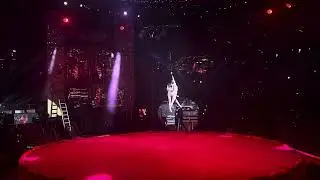 The Anna’s  aerialpole Duo  /Vincze Tünde Produkcio Fővárosi Nagycirkusz  2025