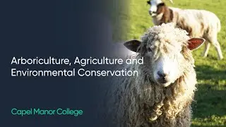 Arboriculture, Agriculture and Environmental Conservation at Capel Manor College