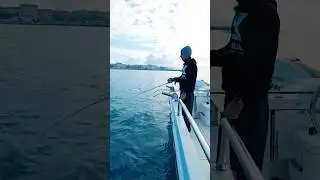 Azione di pesca con il Tako Egi #pescadallabarca #fishing #polpo #mare