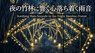 夜の竹林に響く雨音 | Relaxing Rain in a Bamboo Forest