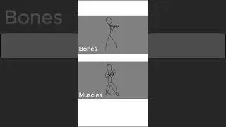 Punch animation. Не судите строго, я начинающий аниматор #animation #stickman