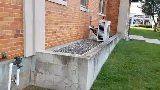 Squirrel removal from commercial building Iselin NJ 732 284 3807