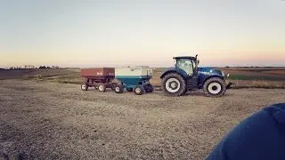 Pushing Soybeans - Before The Rain
