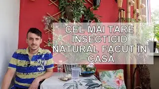 Cel mai tare insecticid natural facut in casa