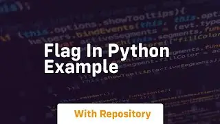 flag in python example